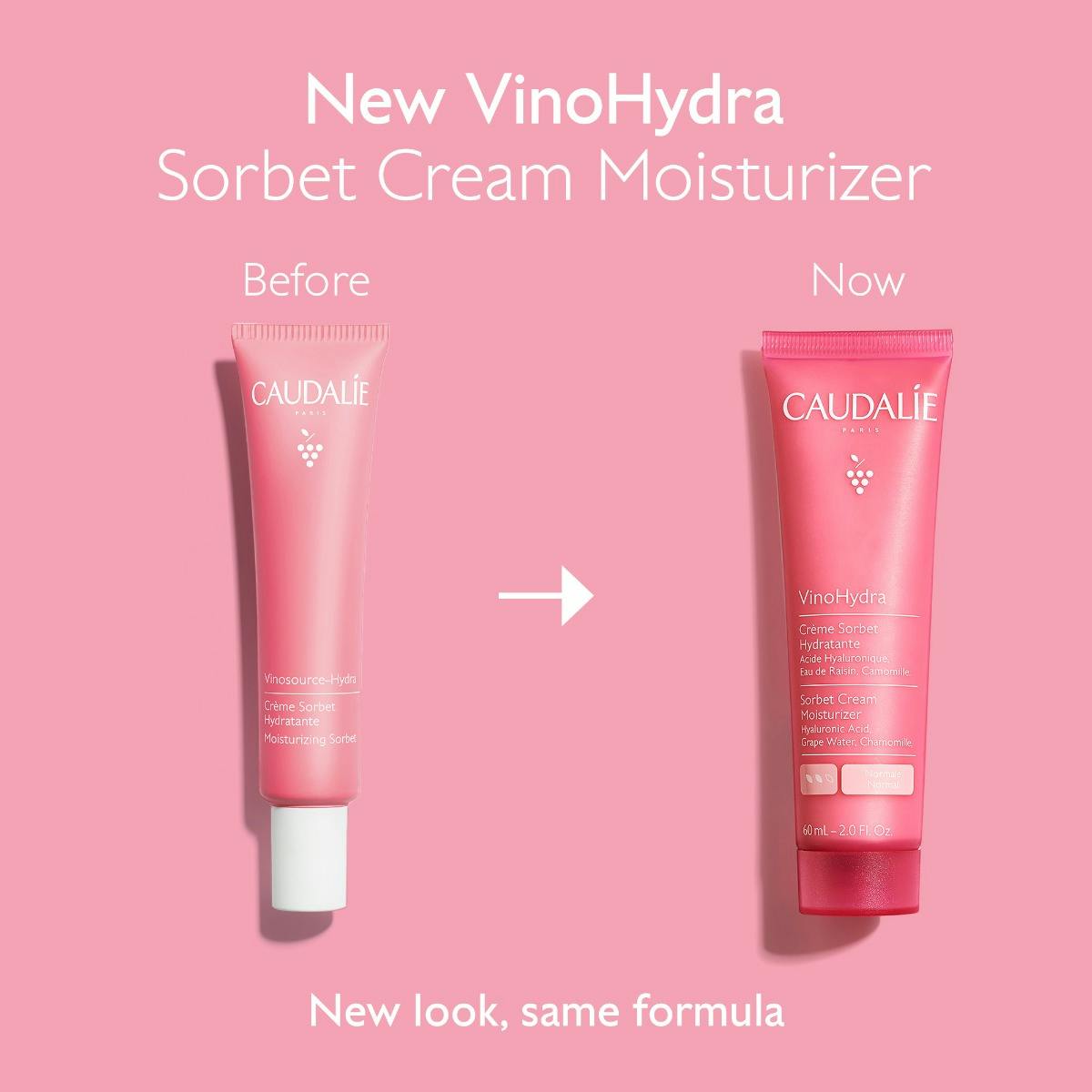 Sorbet Cream Moisturizer with Hyaluronic Acid